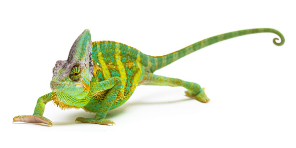 Personaladministration